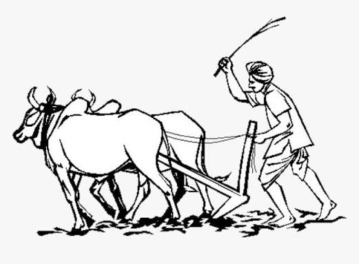 Farming – The Backbone of Human Civilization and the Economy